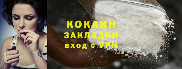 шишки Наволоки
