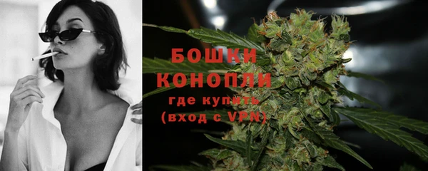 шишки Наволоки