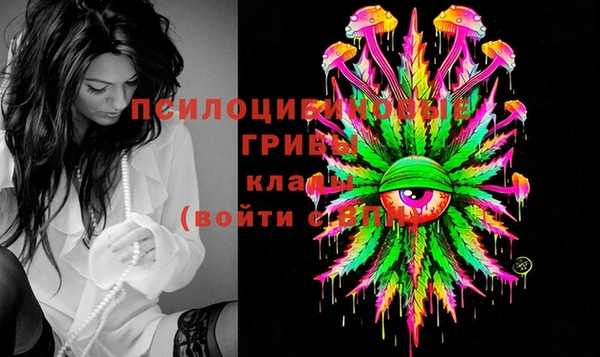 шишки Наволоки