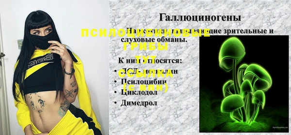 шишки Наволоки