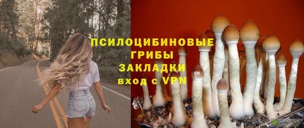 шишки Наволоки