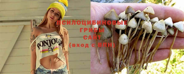 ECSTASY Надым