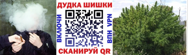 Канабис сатива  Курильск 